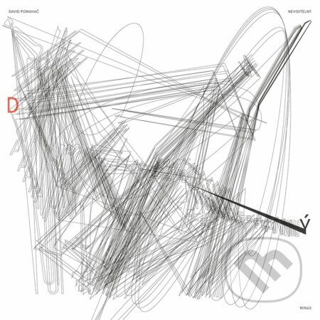 David Pomahač: Neviditelný - David Pomahač