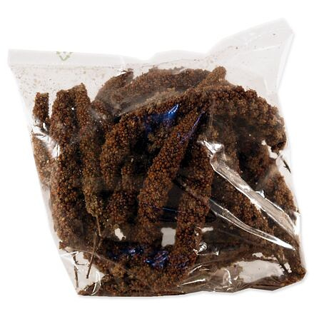 Avicentra buráky ve skořápce 10kg