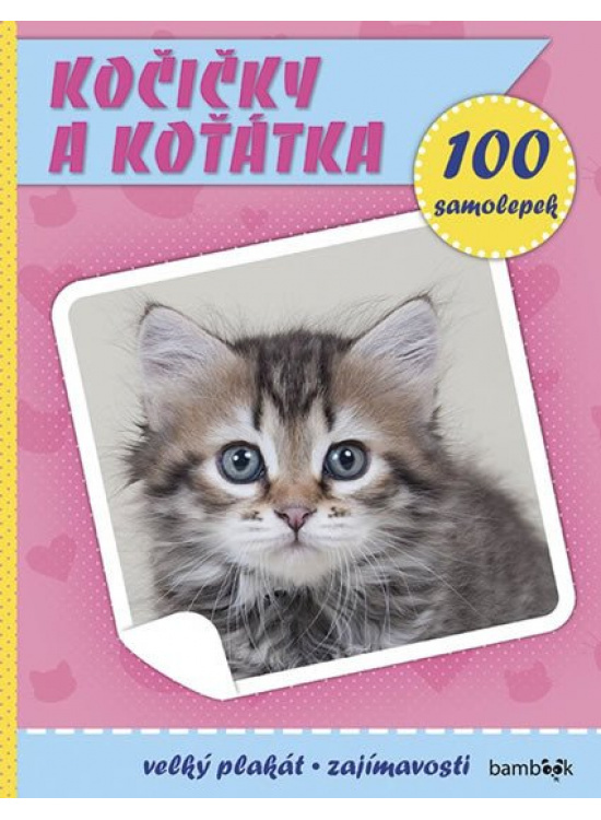 Kočičky a koťátka - kolektiv autorů