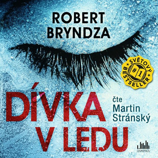 Kniha: Dívka v ledu od Bryndza Robert