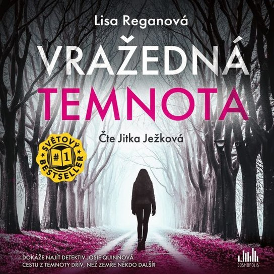 Kniha: Vražedná temnota od Reganová Lisa