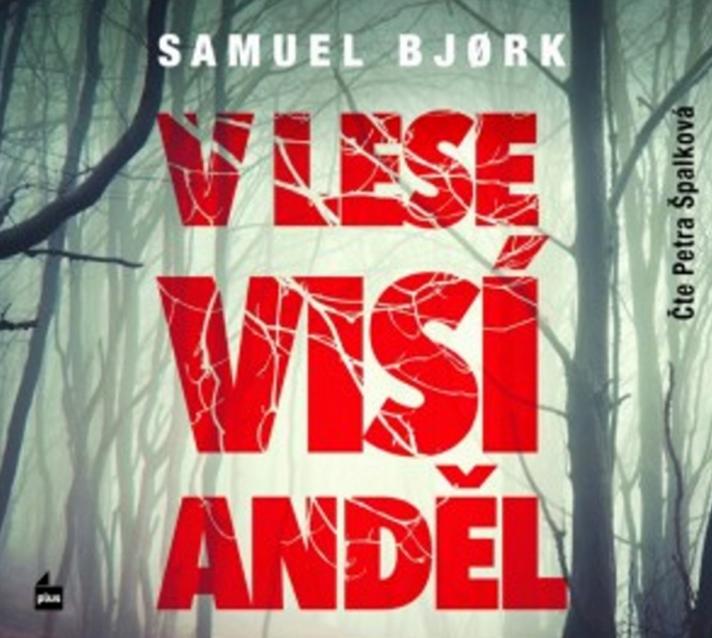 V lese visí anděl - Samuel Bjork