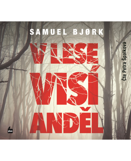V lese visí anděl - Samuel Bjork