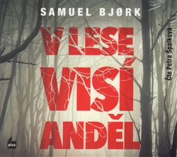 V lese visí anděl - Samuel Bjork