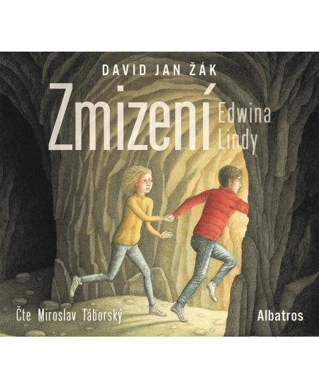 Zmizení Edwina Lindy - David Jan Žák