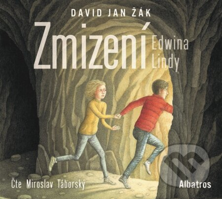 Zmizení Edwina Lindy - David Jan Žák