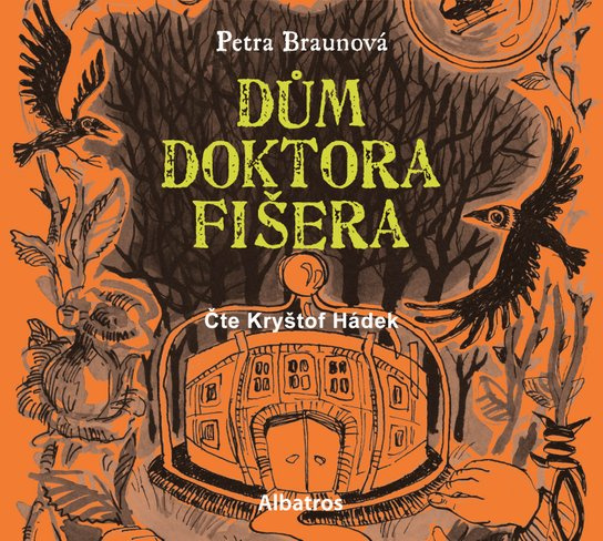 Dům doktora Fišera, mp3 - Petra Braunová
