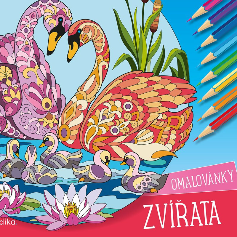 Zvířata – omalovánky - Andrea Brázdová
