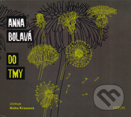 Do tmy - Anna Bolavá - audiokniha z kategorie Společenská beletrie