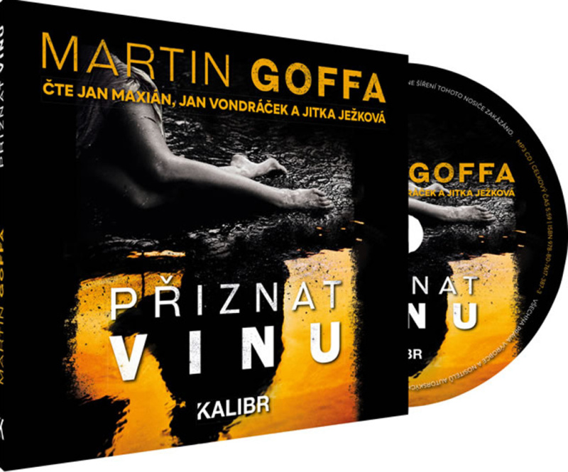 Přiznat vinu - Martin Goffa