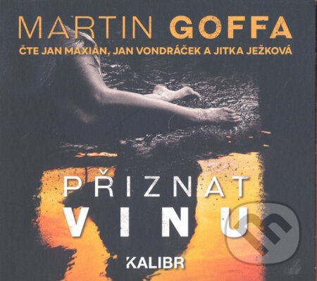 Přiznat vinu - Martin Goffa