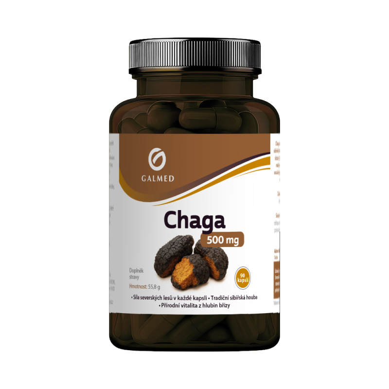 Chaga 500mg Galmed cps 90