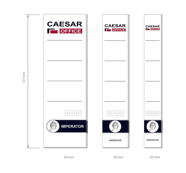 CAESAR OFFICE Štítek na pořadač zasouvací 50 × 157 mm, 10 ks