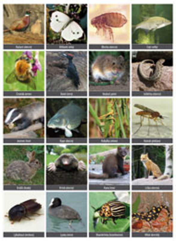 Vystřihovací příloha k učebnici prvouky (3. roč. ZŠ) Didaktis