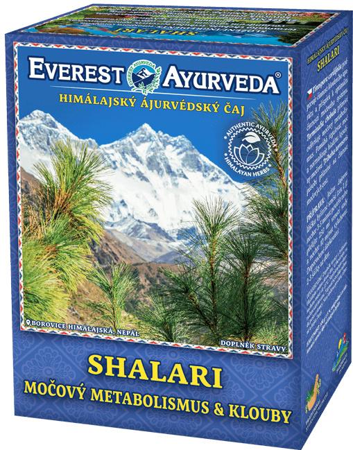 Everest Ayurveda SHALARI Dna a kloubní otoky 100 g