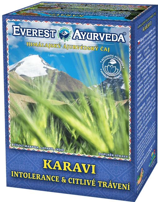 Everest Ayurveda KARAVI Allergies Tea 100 g