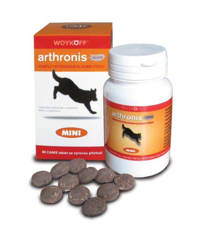 WOYKOFF Arthronis Acute mini 60 tablet