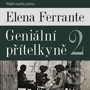 Geniální přítelkyně 2 - Příběh nového jména - Elena Ferrante