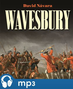 Wavesbury, mp3 - David Návara