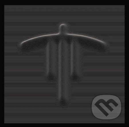 Stroon: Songs Of Concealed Amplitude LP - Stroon