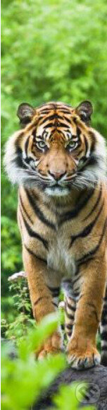 3D záložka - Tiger