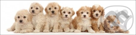 3D záložka - Seven puppies