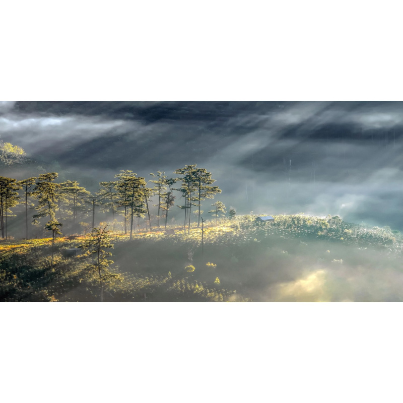 Bondecor Obraz, tištěné plátno Scenerie 50 x 100 cm