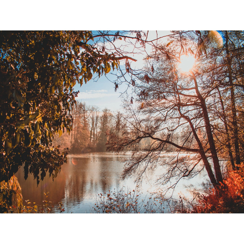 Bondecor Obraz, tištěné plátno Scenerie 60 x 80 cm