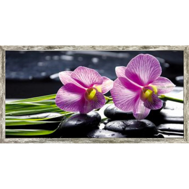 Bondecor Zarámovaný obraz Flora 53 x 103 cm