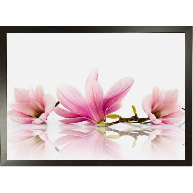 Bondecor Zarámovaný obraz Flora 50 x 70 cm