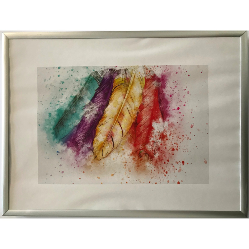 Bondecor Hliníkový fotorám, lišta šířka 10 mm, stříbrný, 60 x 80 cm