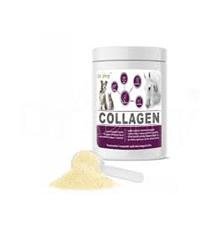 Dromy Collagen 2500g: 90 dávek