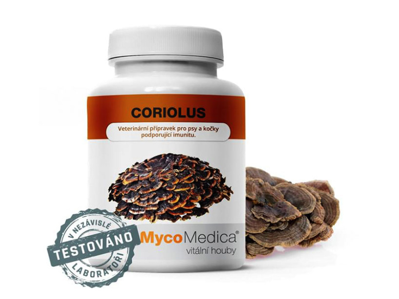 MycoMedica Coriolus