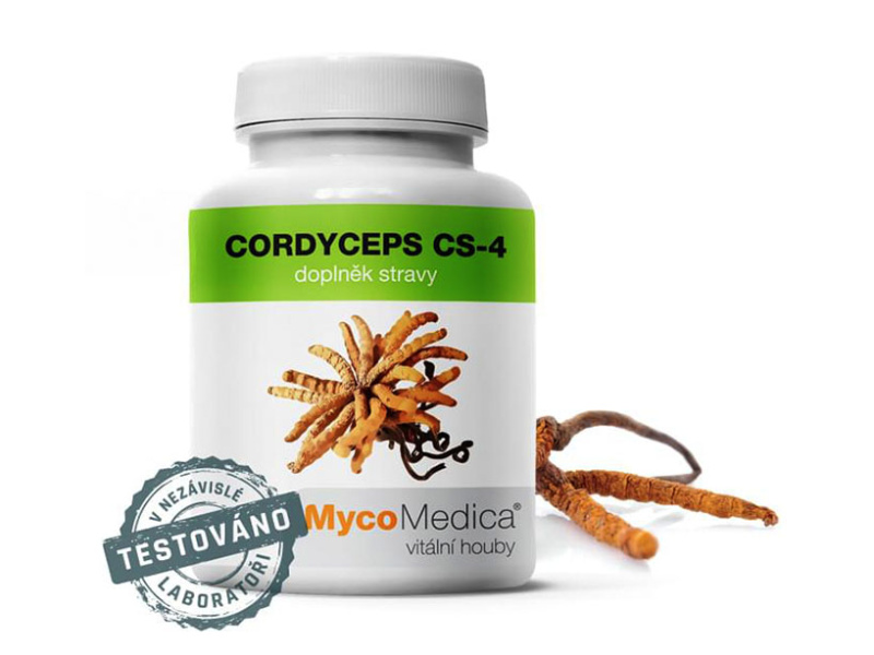MycoMedica Cordyceps CS-4