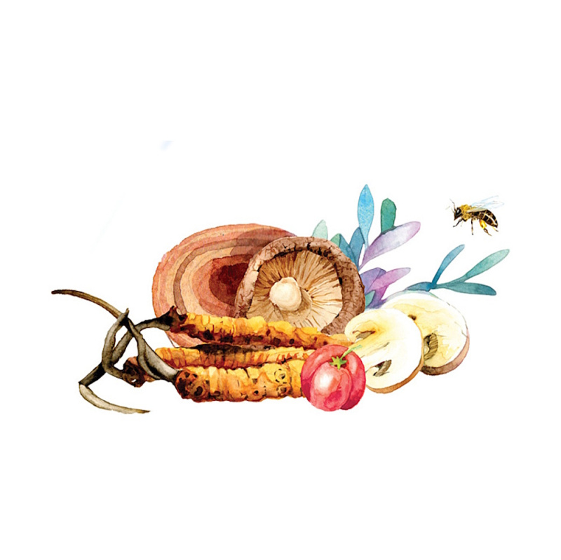 MycoMedica MedoComplex