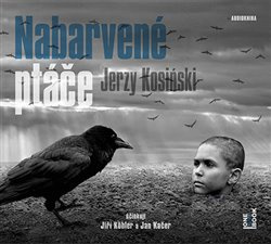 Nabarvené ptáče - Jerzy Kosinski