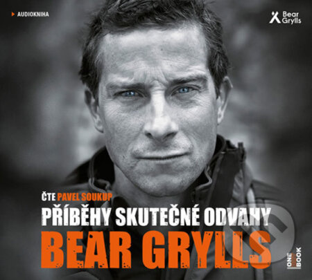 Příběhy skutečné odvahy - Bear Grylls - audiokniha z kategorie Beletrie
