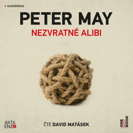 Nezvratné alibi - Peter May