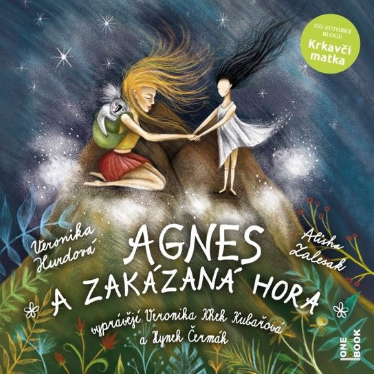 Agnes a zakázaná hora - Veronika Hurdová