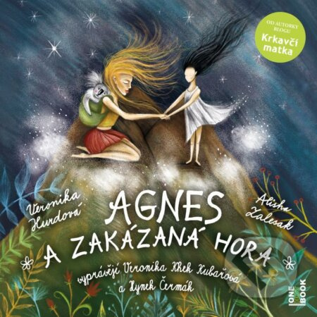 Agnes a zakázaná hora - Veronika Hurdová