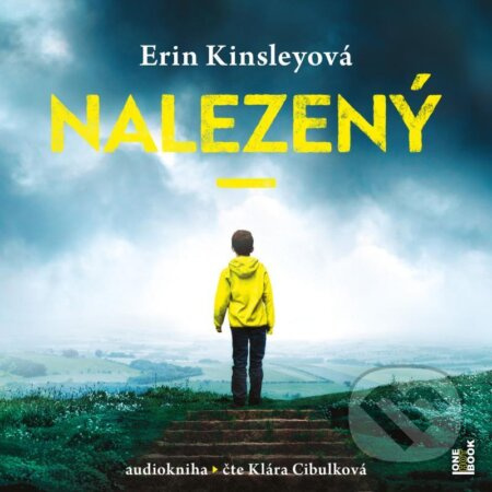 Nalezený - Erin Kinsleyová
