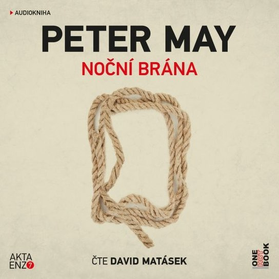 Noční brána - Peter May