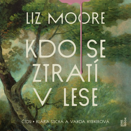 Kdo se ztratí v lese -  Liz Moore