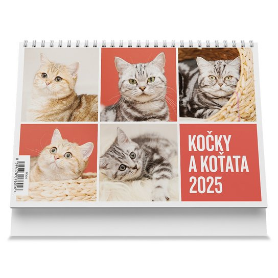 Kočky a koťata 2025 - stolní kalendář -  Autor Neuveden