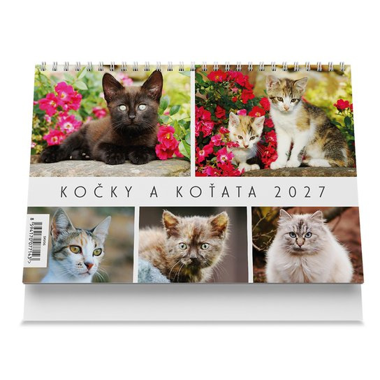 Kočky a koťata 2027 - Stolní kalendář -  Autor Neuveden