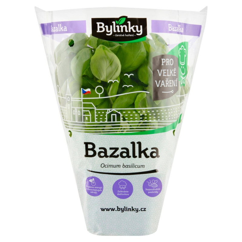 Bazalka v květináči XXL (Pro velké vaření)