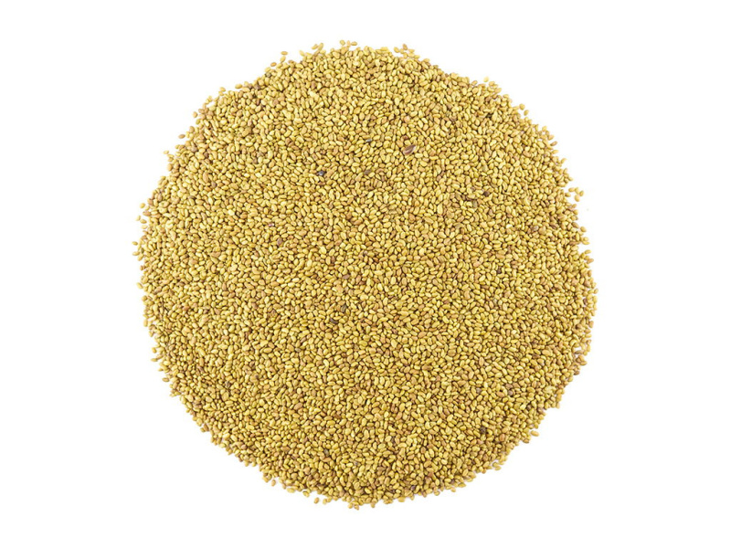 Alfalfa semínka na klíčení váha 200g