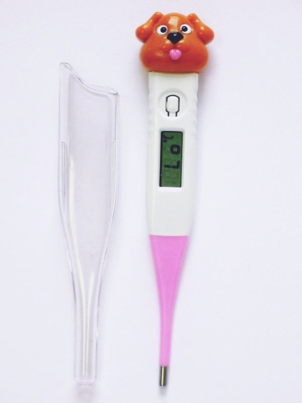 Alexander Digitál.teploměr ECT-3K PEJSEK, Ohebný