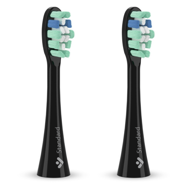 TRUELIFE SonicBrush Clean náhradní hlavice standard černá 2 kusy