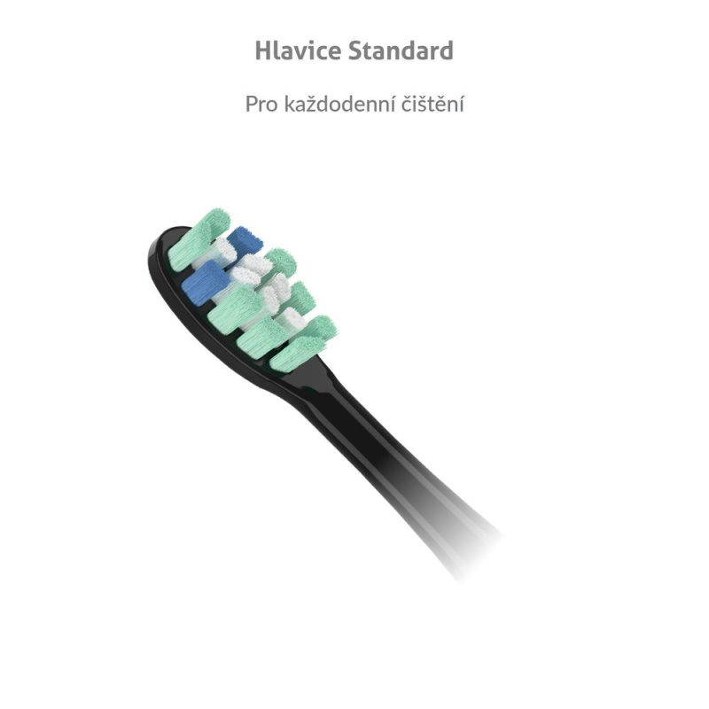 TRUELIFE SonicBrush Clean náhradní hlavice standard černá 2 kusy